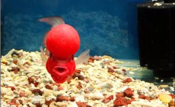 冲动购物一时爽,冲动购物的感悟