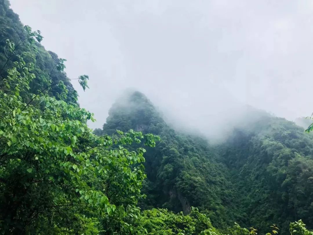 德阳周边玩水避暑民宿,德阳附近哪里有凉快又好玩的地方