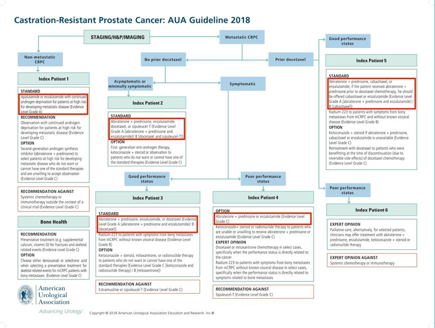 从我不是药神开始穿越,什么是前列腺癌靶向治疗