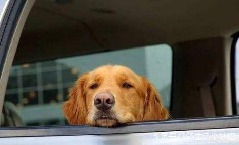 风油精的神奇功效,风油精提神神器