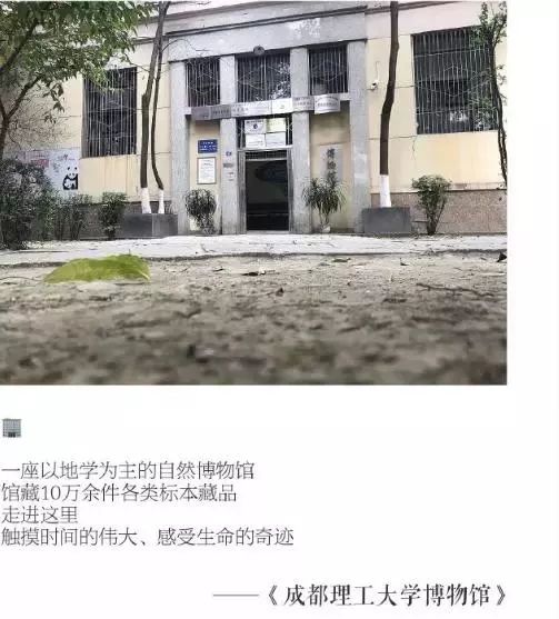 成都自然博物馆征集,成都自然博物馆征集计划