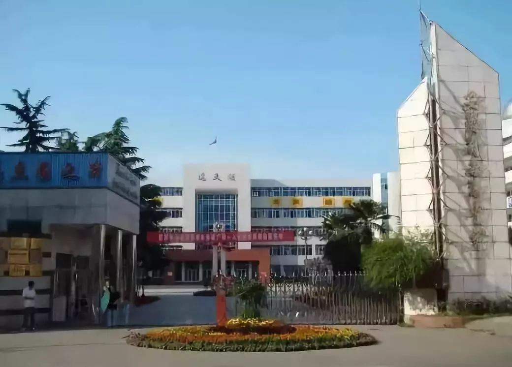 今日无为县头条,无为县最新头条