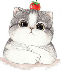 ps小白入门到精通书籍,ps基础教程新手入门切片