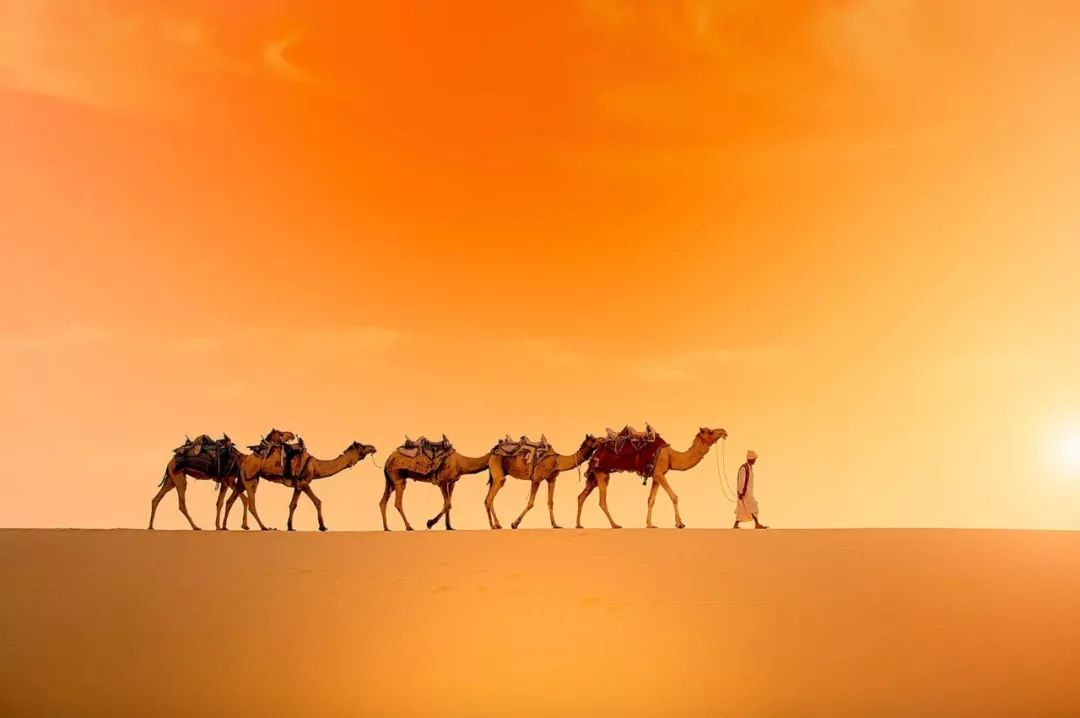 邂逅过彩色印度，才不枉费人生苦短