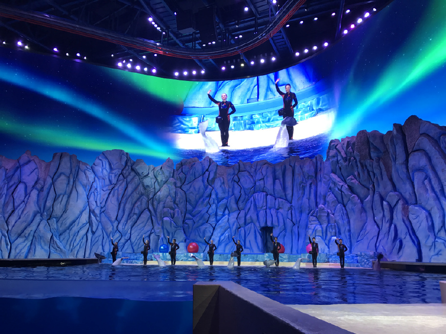 这个夏天带上ta来场浪漫的旅行,带上心爱的ta来一次浪漫之旅