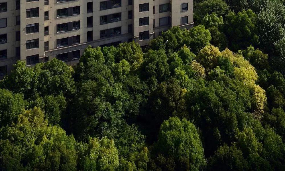 这两年的房子都不值得买么,这两年买到的房子质量