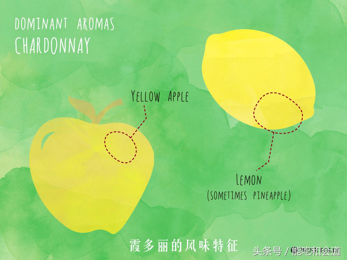 看懂了葡萄酒瓶上的这个细节，买酒绝对不会出错！