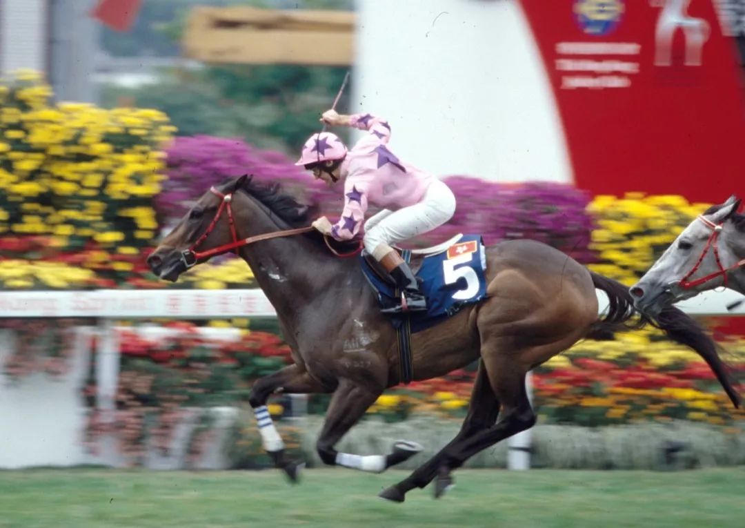 载入香港百年赛马史册，历届马王全家福拿走不谢！