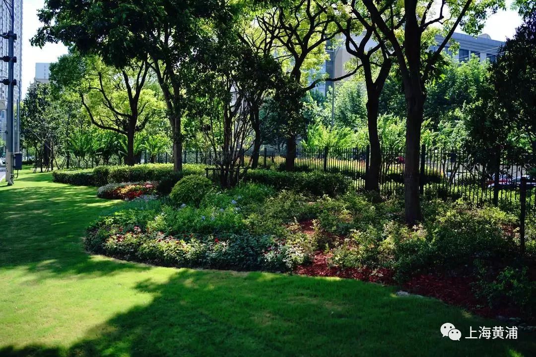 臭水浜变成了林荫道,《从臭水浜到林荫道》小学课文