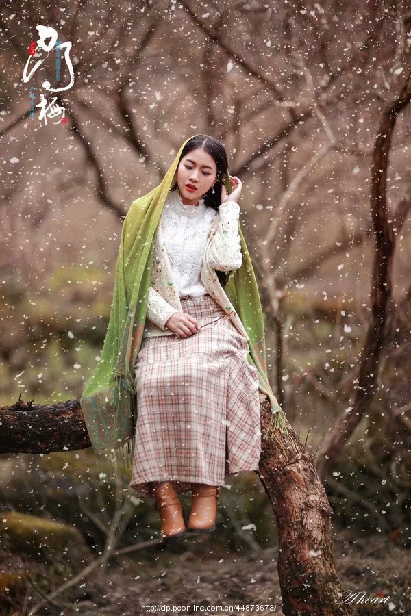 经典散文梦里花落知多少,花落知多少的情感句子摘抄