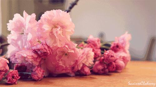 七夕必备礼单帮你备好 (七夕最实用的礼物清单来啦)