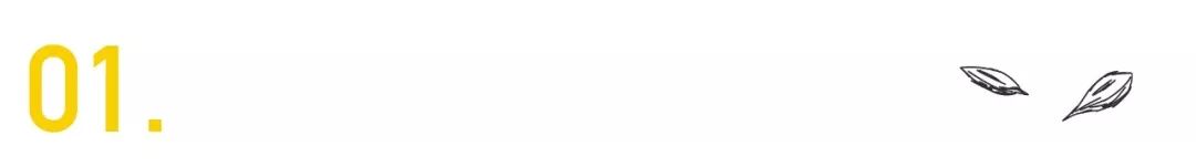 高晓松讲许巍,曾陪你仗剑走天涯歌词