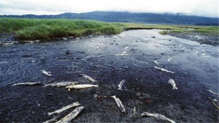 钓鱼停口解决方法,钓鱼截口怎么解决