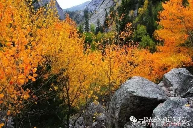 *疆新**人民又过年了—古尔邦节可可托海观光福海鱼宴3日美食休闲游