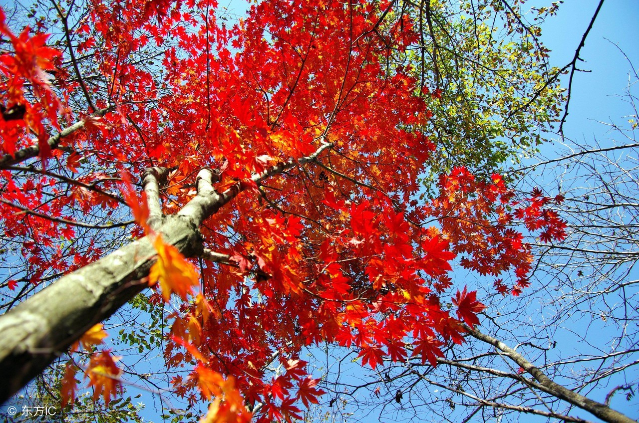喜欢喝酒的人吃什么护胃护肝,喝酒有讲究养生酒要怎么喝才养生