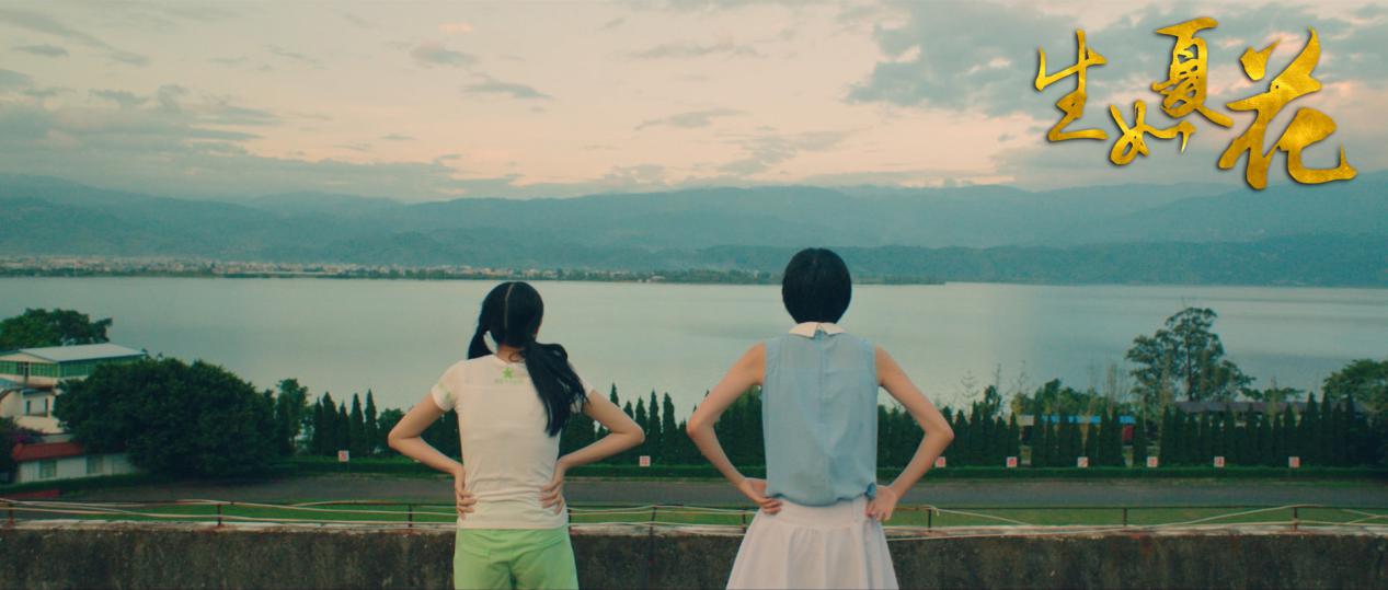 哪些电影中的风景特别美,文艺电影的目的