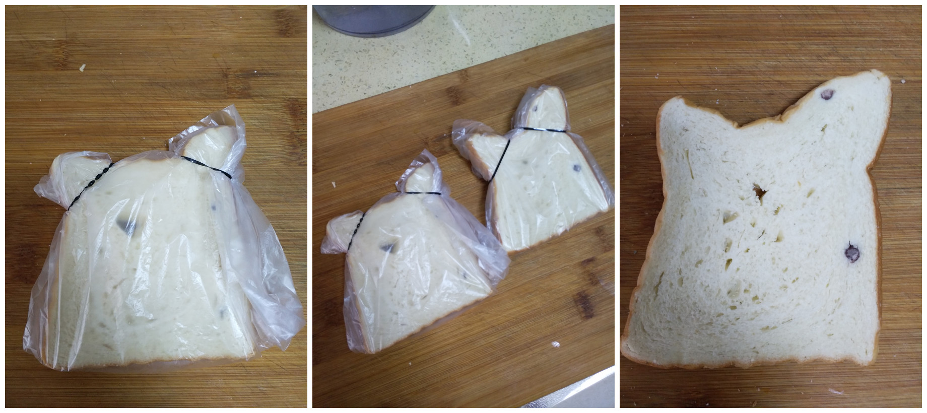 这丑萌丑萌的小仓鼠，谁还舍得吃掉？