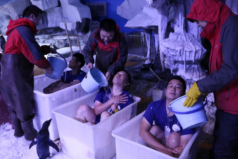 极地海洋世界青岛企鹅互动,青岛极地海洋公园企鹅接触