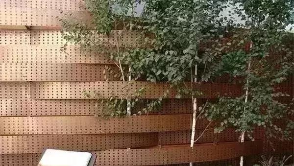 庭院景观设计最佳布局,庭院花园景观风水设计