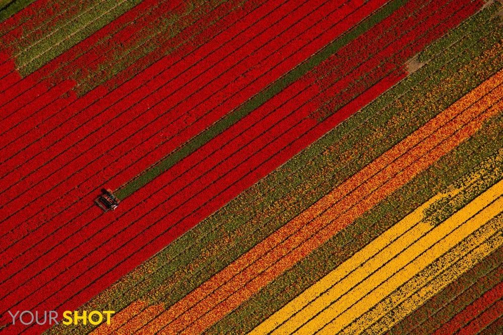 你忙着过七夕,而我用25张图纪念我们共度的这个夏天|夏末特供