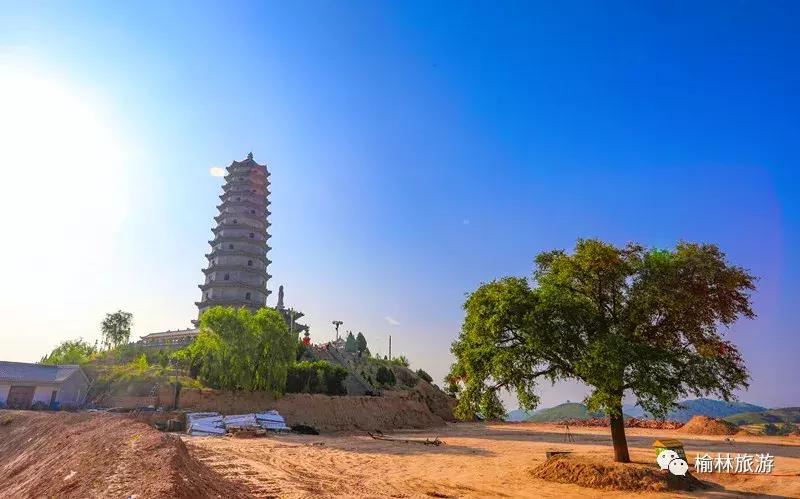 走遍榆林寻古树、品农味、游乡村，感受最清爽的一抹绿之子洲篇