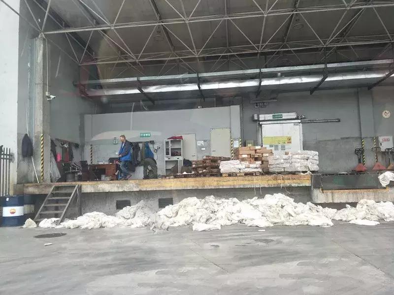 记者暗访冻肉交易,暗访冷冻肉交易市场