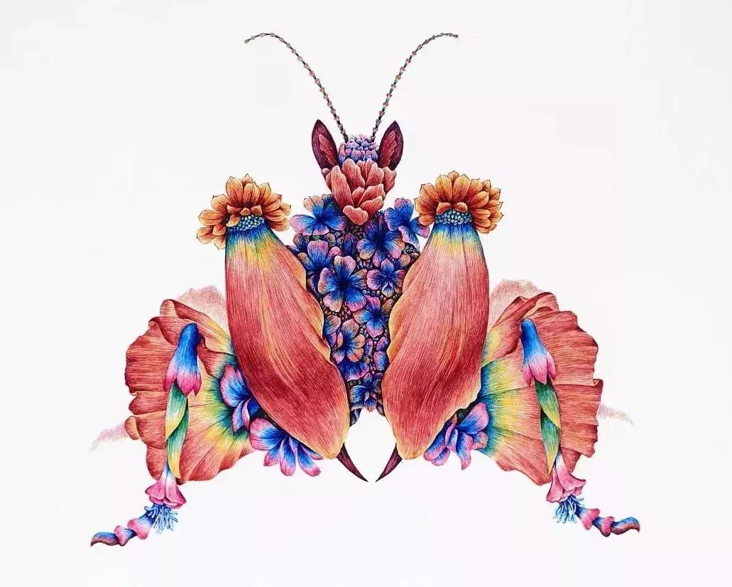 贺峻霖被老师称为抓细节狂魔,贺峻霖为什么被叫扒细节狂魔