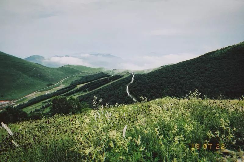 九种特别的礼物记2018壹季崇礼之巅越野赛50KM