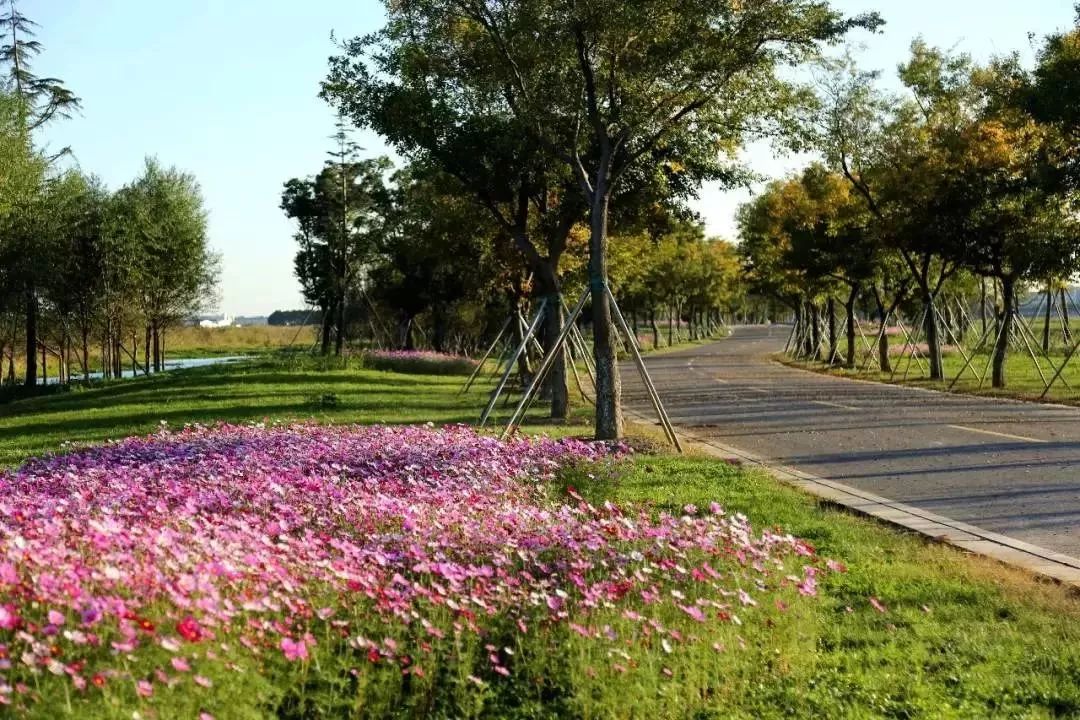 昆山市重大项目集中开工,昆山2021重大项目开工一览表