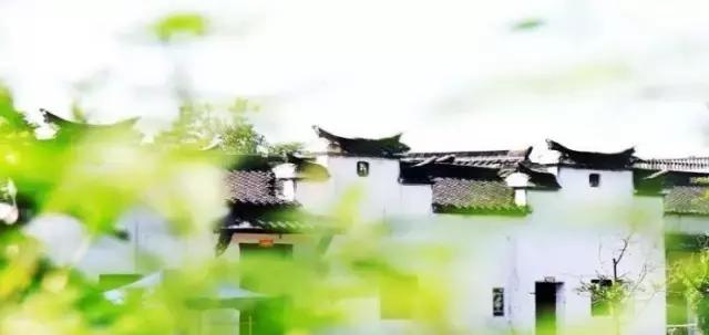 浙江最南端一座低调又迷人的小城,浙江最美隐世小城