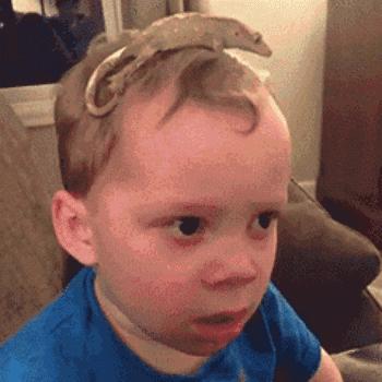 以后再也不上网了的萌娃表情包,萌娃表情包你到哪里去了