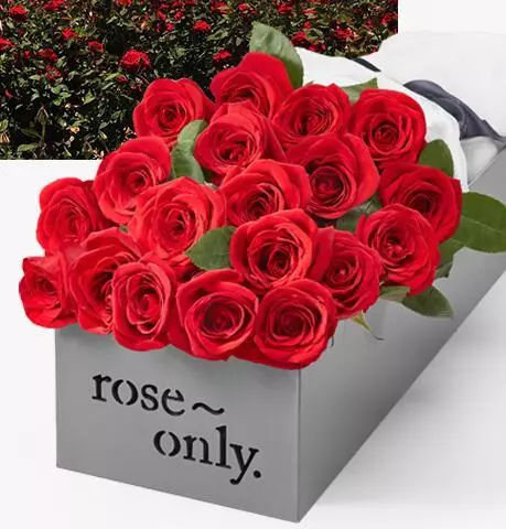 你有一份七夕撩妹指南请查收,追妹子七夕送什么礼物