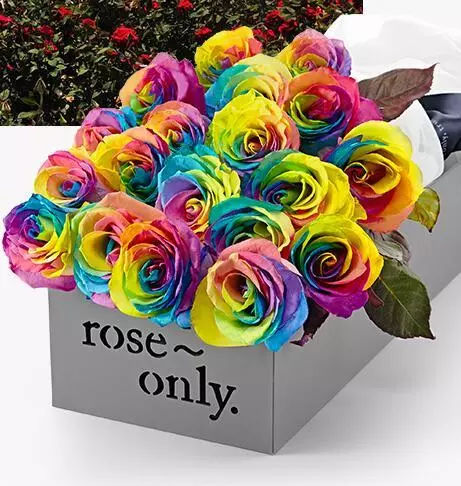 你有一份七夕撩妹指南请查收,追妹子七夕送什么礼物