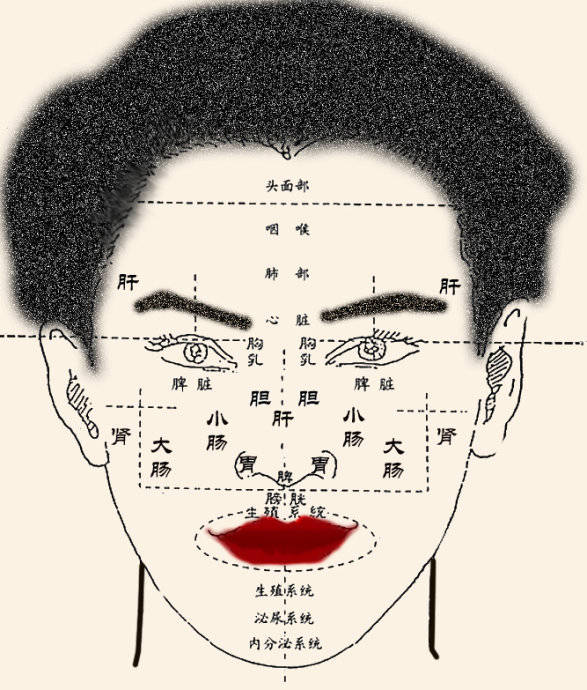 老中医面部调理,中医看脸色医病教程