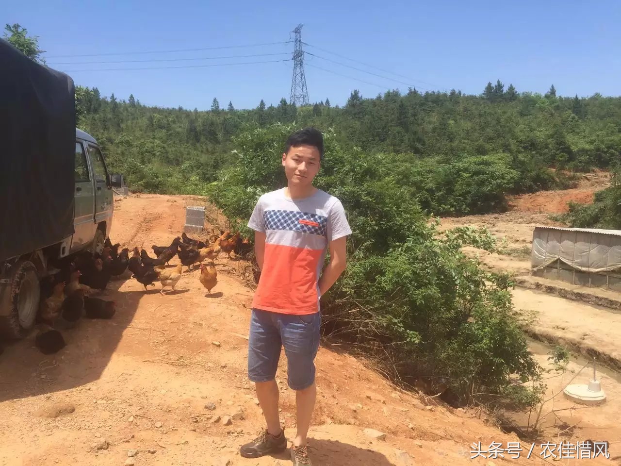 农村小伙子养鸡年收入240万你信吗,90后女大学生养鸡年销售3000万