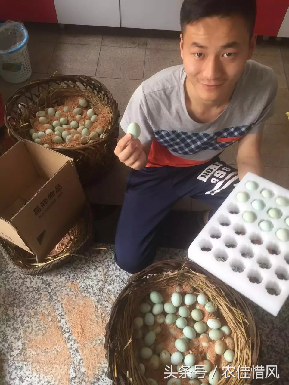 农村小伙子养鸡年收入240万你信吗,90后女大学生养鸡年销售3000万