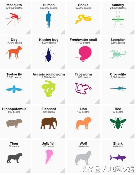 如何彻底消灭世界上所有的蚊子,要想消灭蚊子要克服恐惧