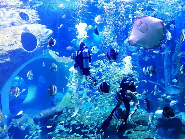 贵州旅游避暑推荐地点有哪些景点,贵州避暑旅游线路整理推荐