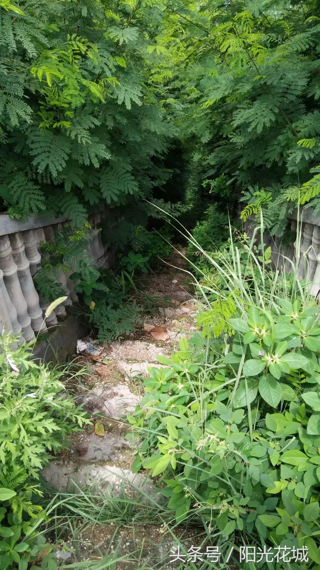 攀枝花的路有多陡,攀枝花最陡的坡