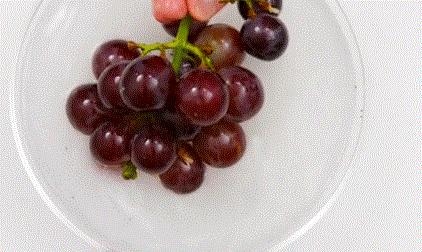 猪肉上下水怎么清洗,猪肉可以用清水洗吗