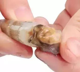 快速去除虾线的小妙招,虾肚子下面的那条虾线怎样去除