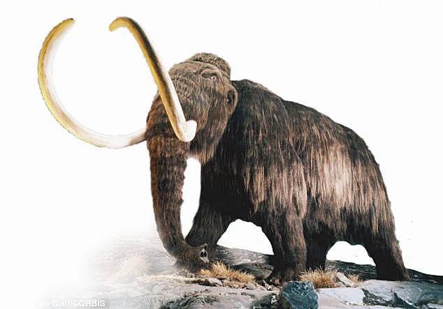 远古泰坦生物排行榜,远古时期厉害的10只巨型动物