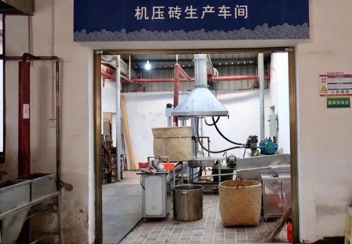 茶有金花还能喝吗,茶里的金花是怎么回事