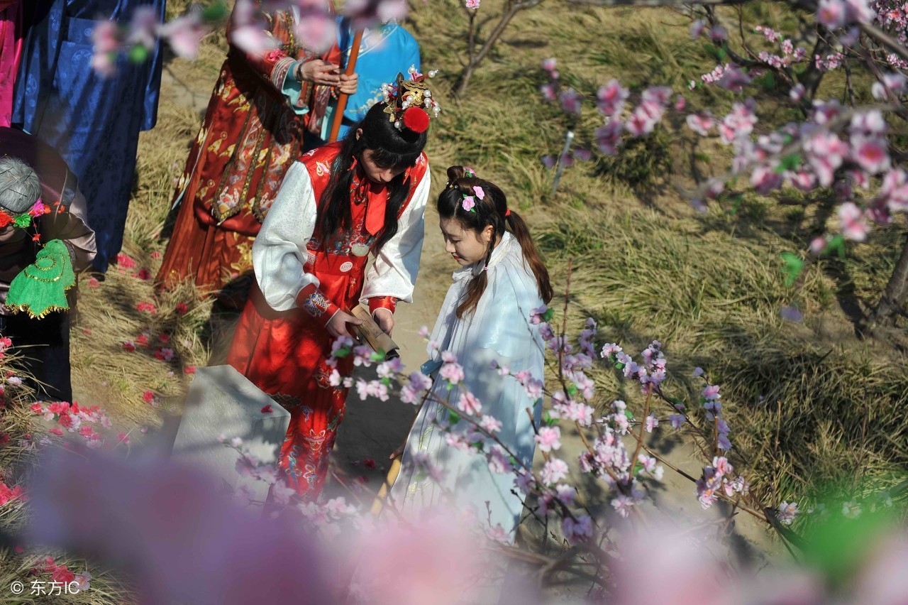 你有听过在地愿为连理枝的故事吗,在地愿作连理枝描述谁的爱情