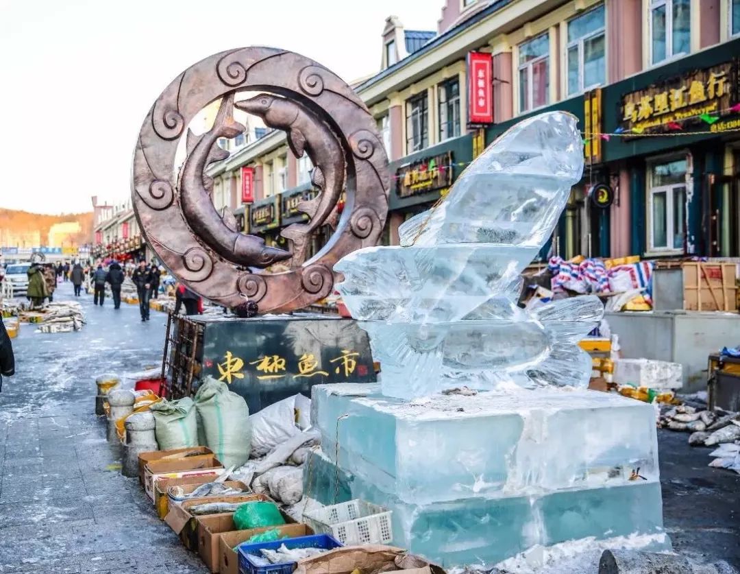 看日出、逗黑熊……从抚远出发穿越“两极”