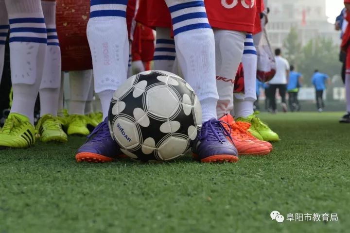 阜阳最严的学校是哪所学校,阜阳一家教育机构被通报