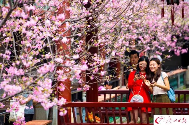 广州的旅游景点排行榜第一是哪个,广州主要景点排名前十名