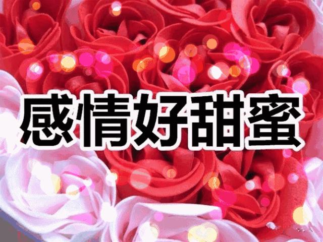 枫林诗苑诗词集,枫林诗苑经典