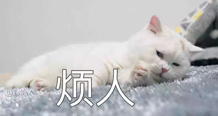 自从迷上*戏调**某宝客服后,我不会说话的毛病就被治好了