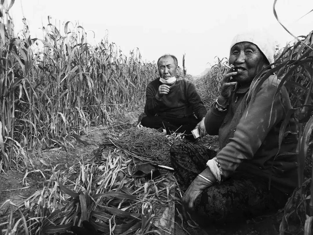 来看看哪些摄影作品入选27届国展,一月最佳手机摄影作品评选